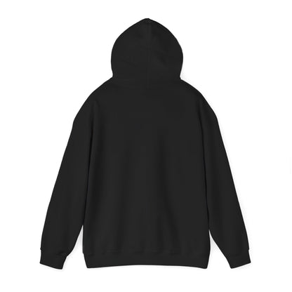 Compact Seattle Raccoon Hoodie | Jimothy-inspired, Wholesome Meme Wildlife