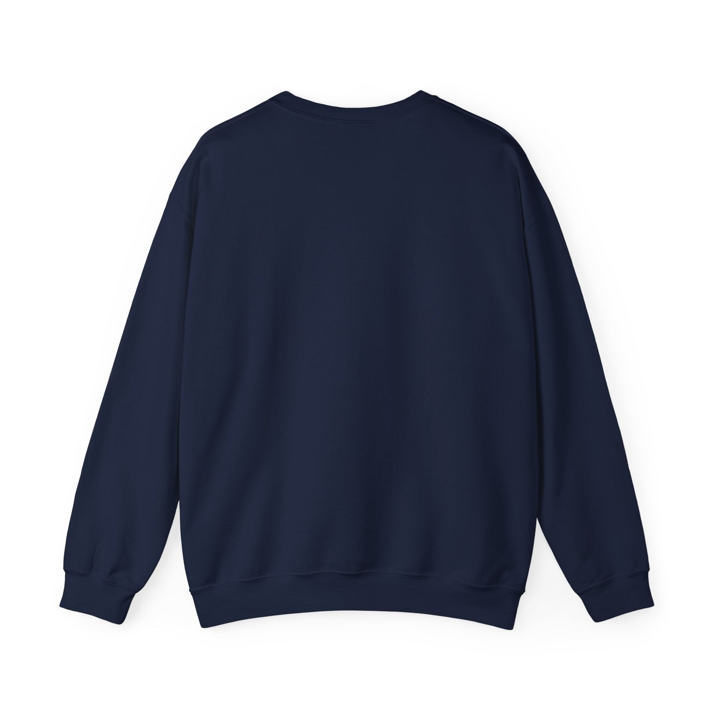 Compact Raccoon Illustration Sweatshirt | Seattle wildlife, Meme mascot