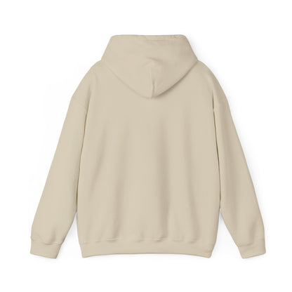 Compact Seattle Raccoon Hoodie | Jimothy-inspired, Wholesome Meme Wildlife