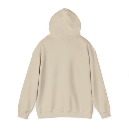 Compact Seattle Raccoon Hoodie | Jimothy-inspired, Wholesome Meme Wildlife