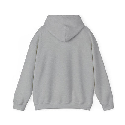 Compact Seattle Raccoon Hoodie | Jimothy-inspired, Wholesome Meme Wildlife