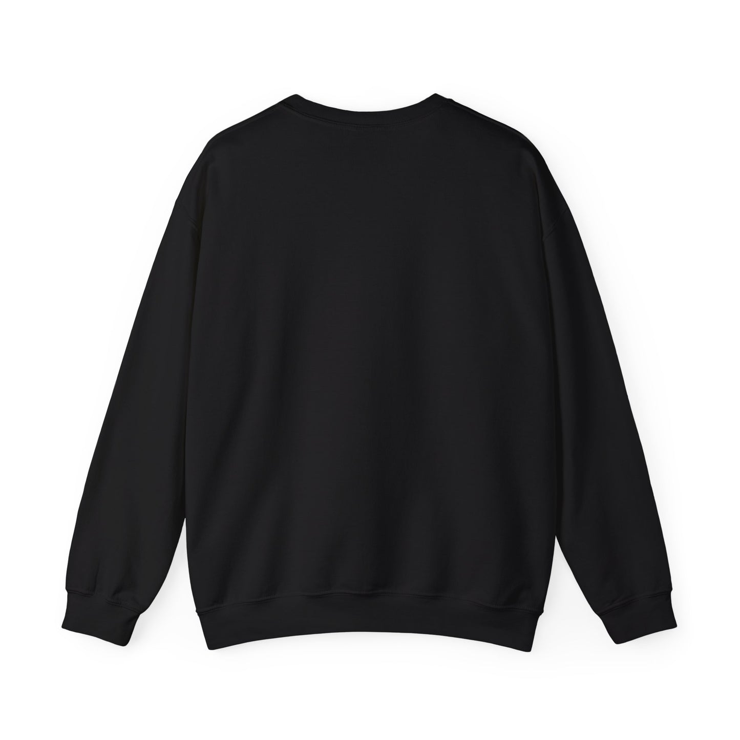 Compact Raccoon Illustration Sweatshirt | Seattle wildlife, Meme mascot