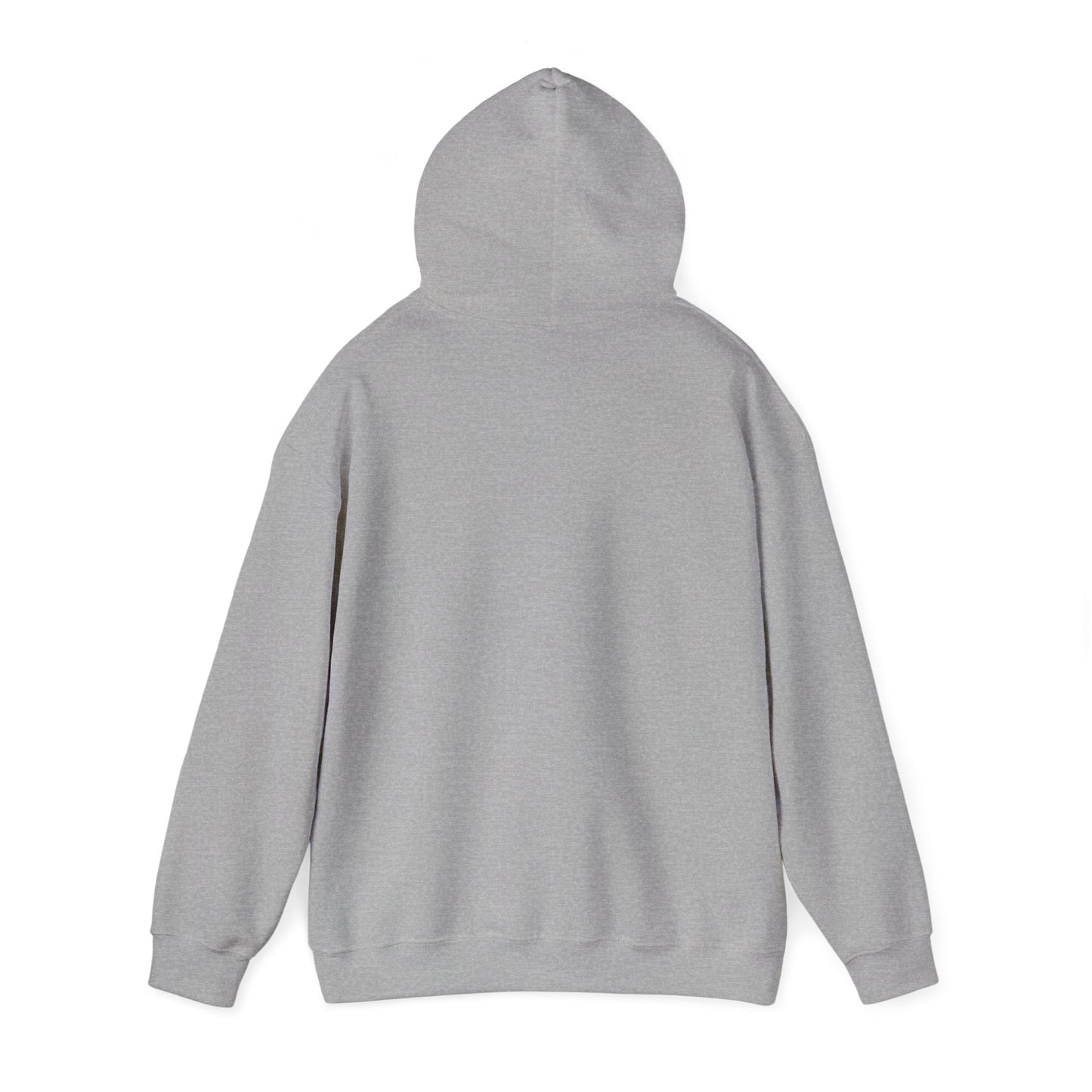 Compact Seattle Raccoon Hoodie | Jimothy-inspired, Wholesome Meme Wildlife