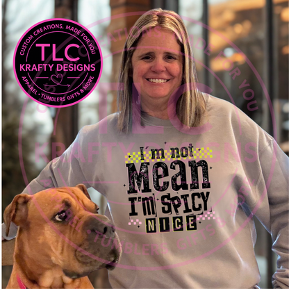 I'm Not Mean I'm Spicy Nice Shirt or Sweatshirt - Humor and Sarcasm Vibes Apparel CK
