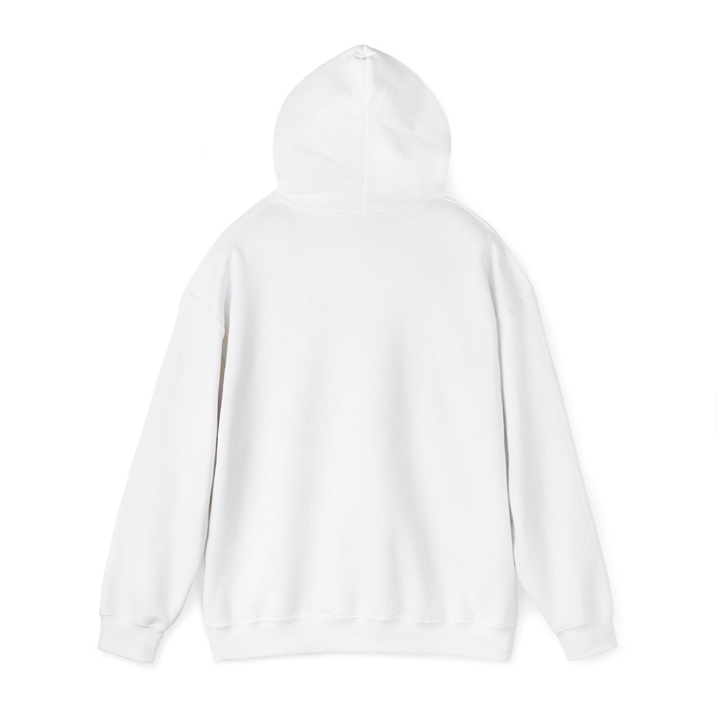 Compact Seattle Raccoon Hoodie | Jimothy-inspired, Wholesome Meme Wildlife