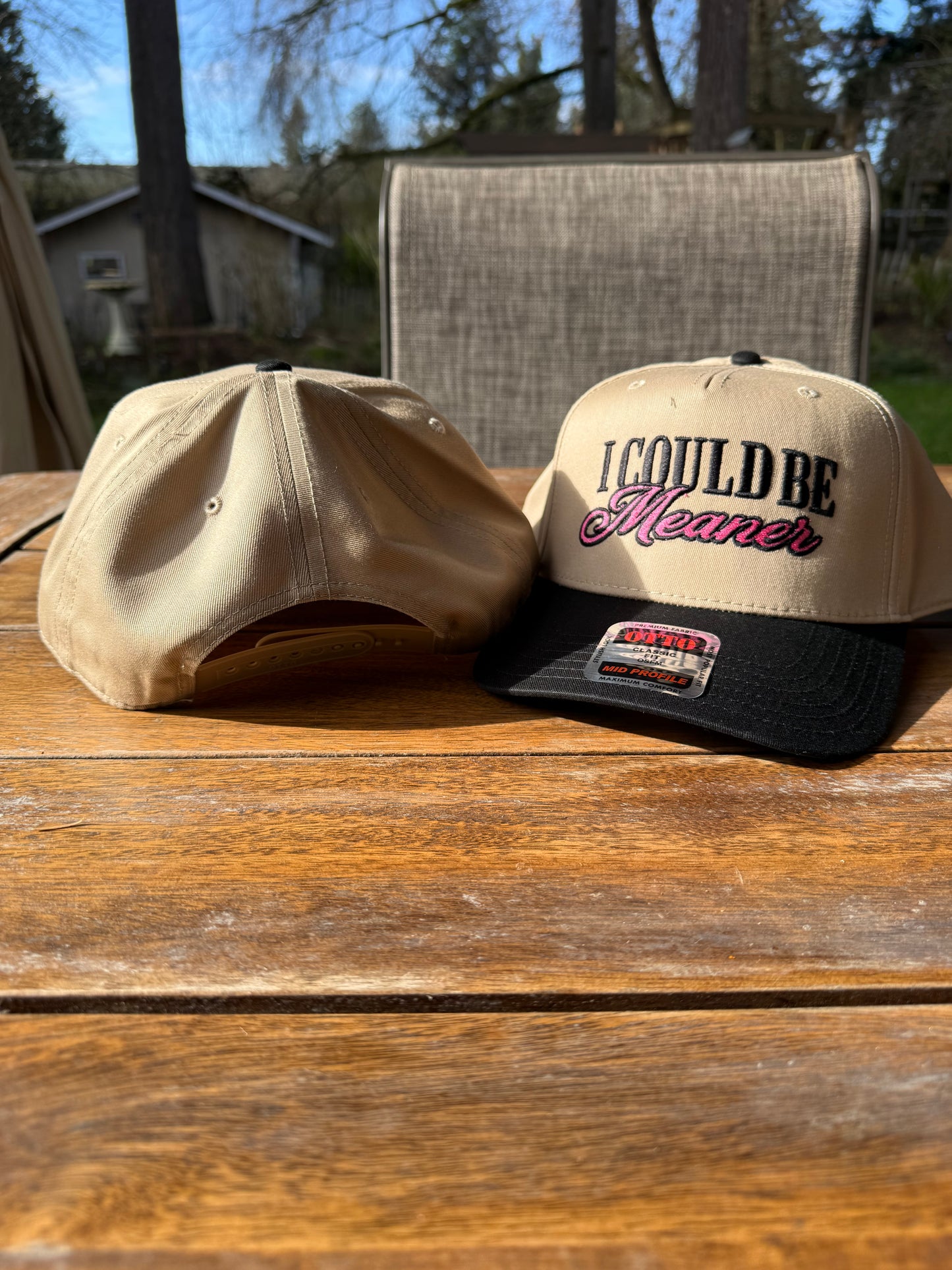 I Could Be Meaner Embroidered Hat