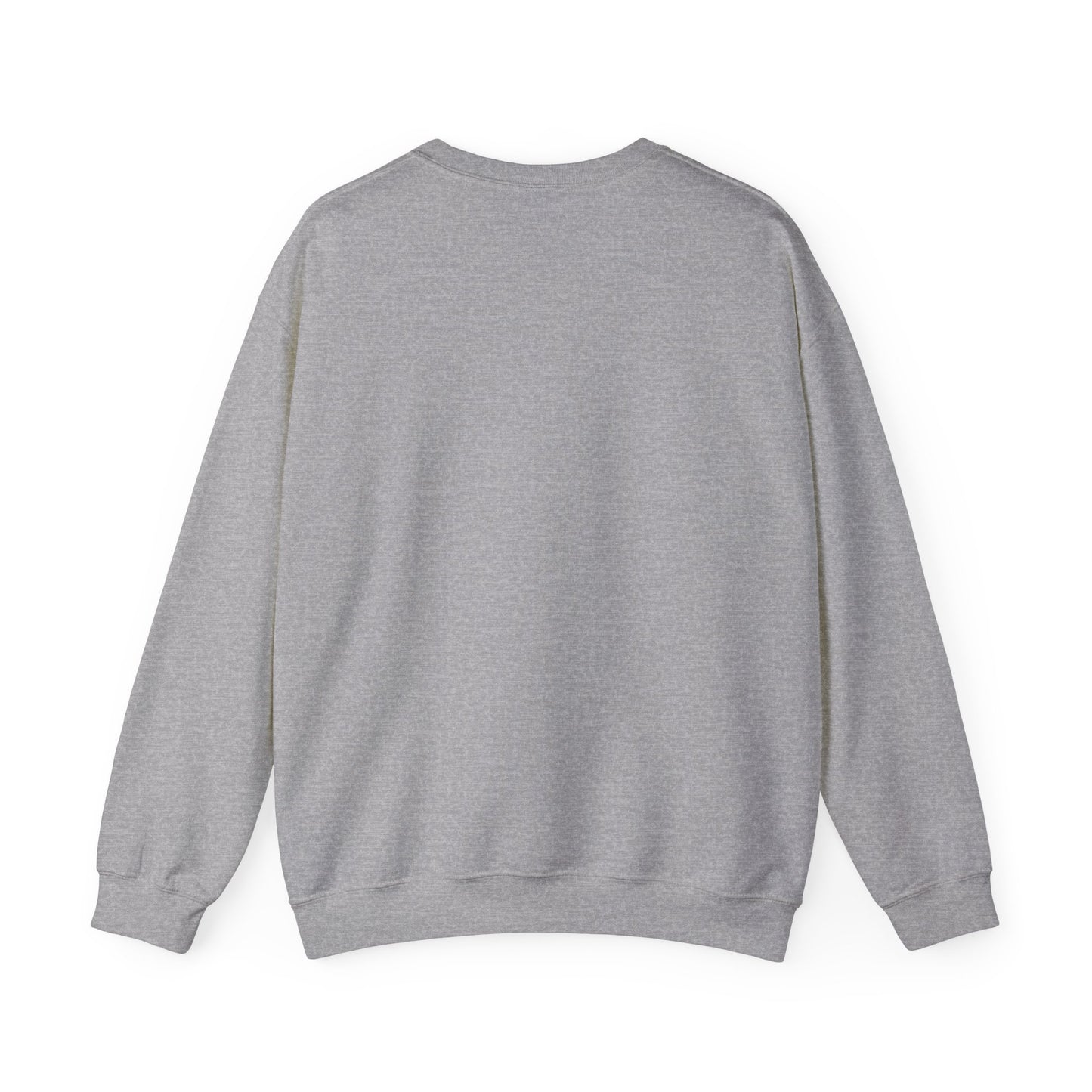 Compact Raccoon Illustration Sweatshirt | Seattle wildlife, Meme mascot