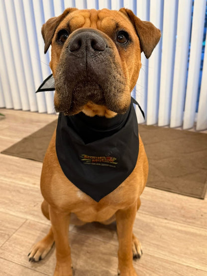 Mocha Motion Accessories – Keep Your Drink Fresh & Your Ride Stylish!