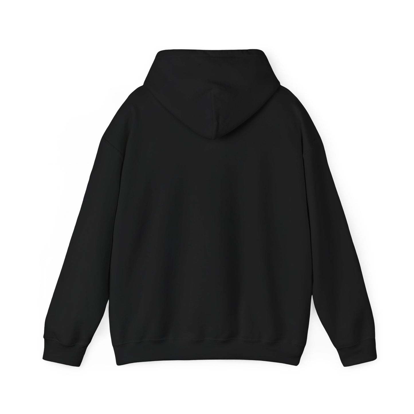 Compact Seattle Raccoon Hoodie | Jimothy-inspired, Wholesome Meme Wildlife