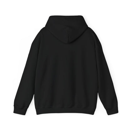 Compact Seattle Raccoon Hoodie | Jimothy-inspired, Wholesome Meme Wildlife