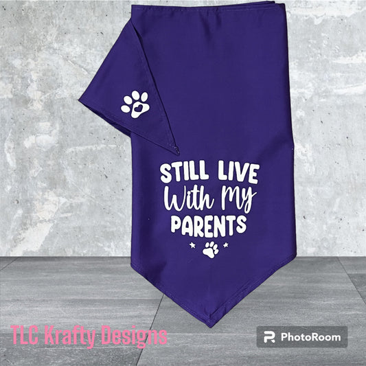 “Still live with my parents” Discover comfort and style customized Dog bandana